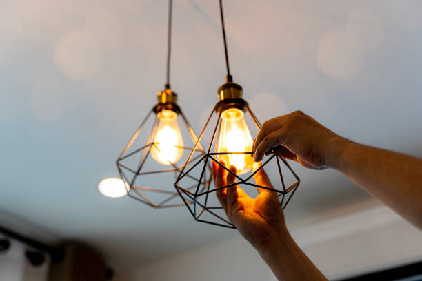 Best Outdoor Lighting Installation  in Elk Mound, WI